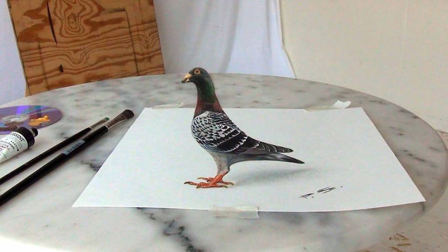 Les-dessins-et-peintures-3D-qui-semblent-surgir-de-leur-support-de-Stefan-Pabst-17