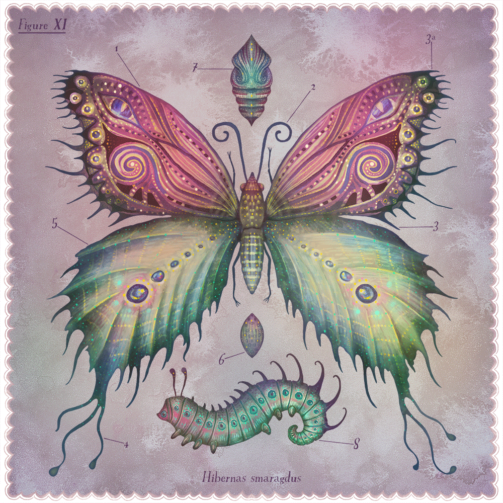 Les-papillons-scintillants-de-Vlad-Stankovic-7