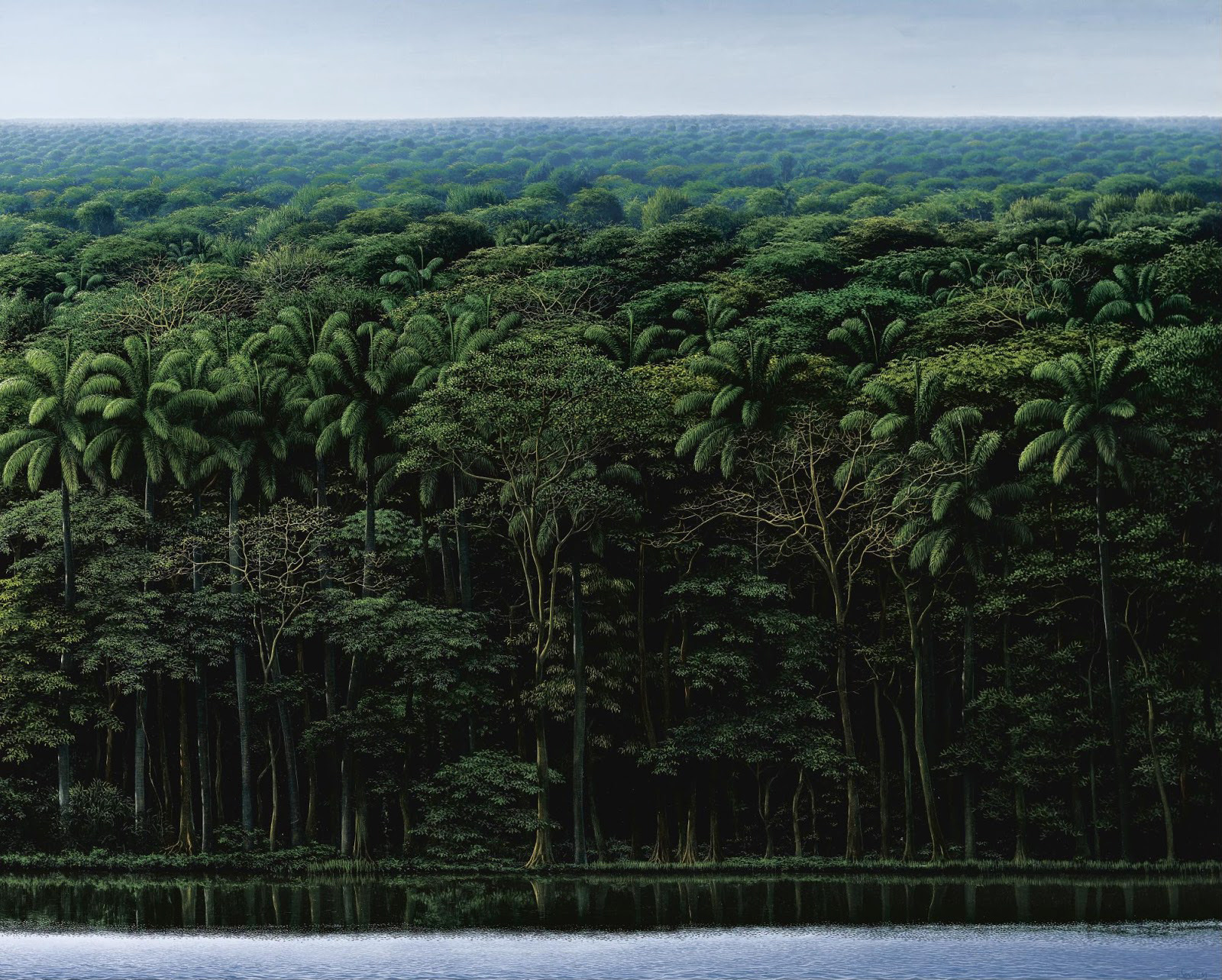 Les-paysages-idylliques-de-Tomas-Sanchez-2