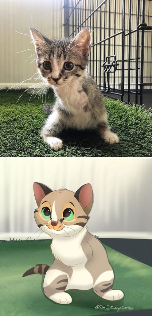 Les Caricatures De Chats Et De Chiens Style Disney De Isa Bredt Dessein De Dessin