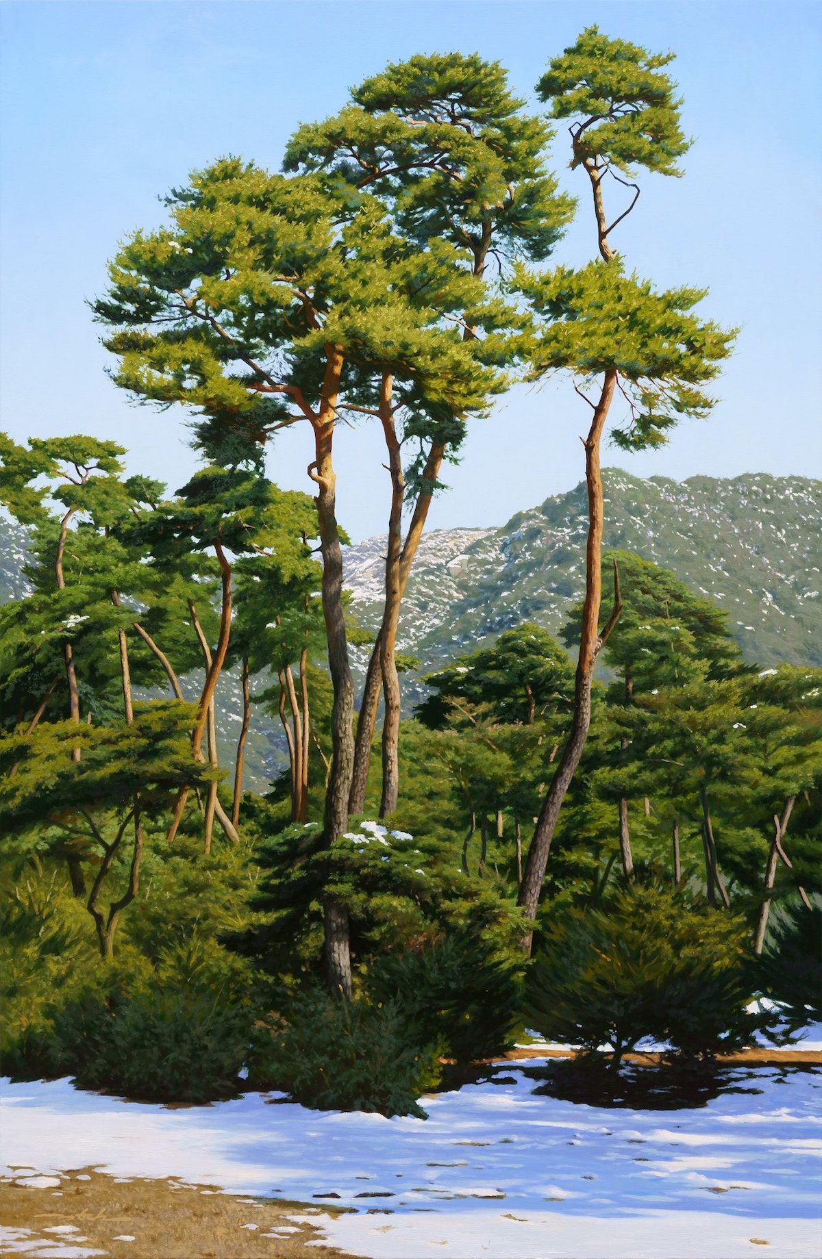 Les-paysages-hyperrealistes-de-An-Jung-hwan-11