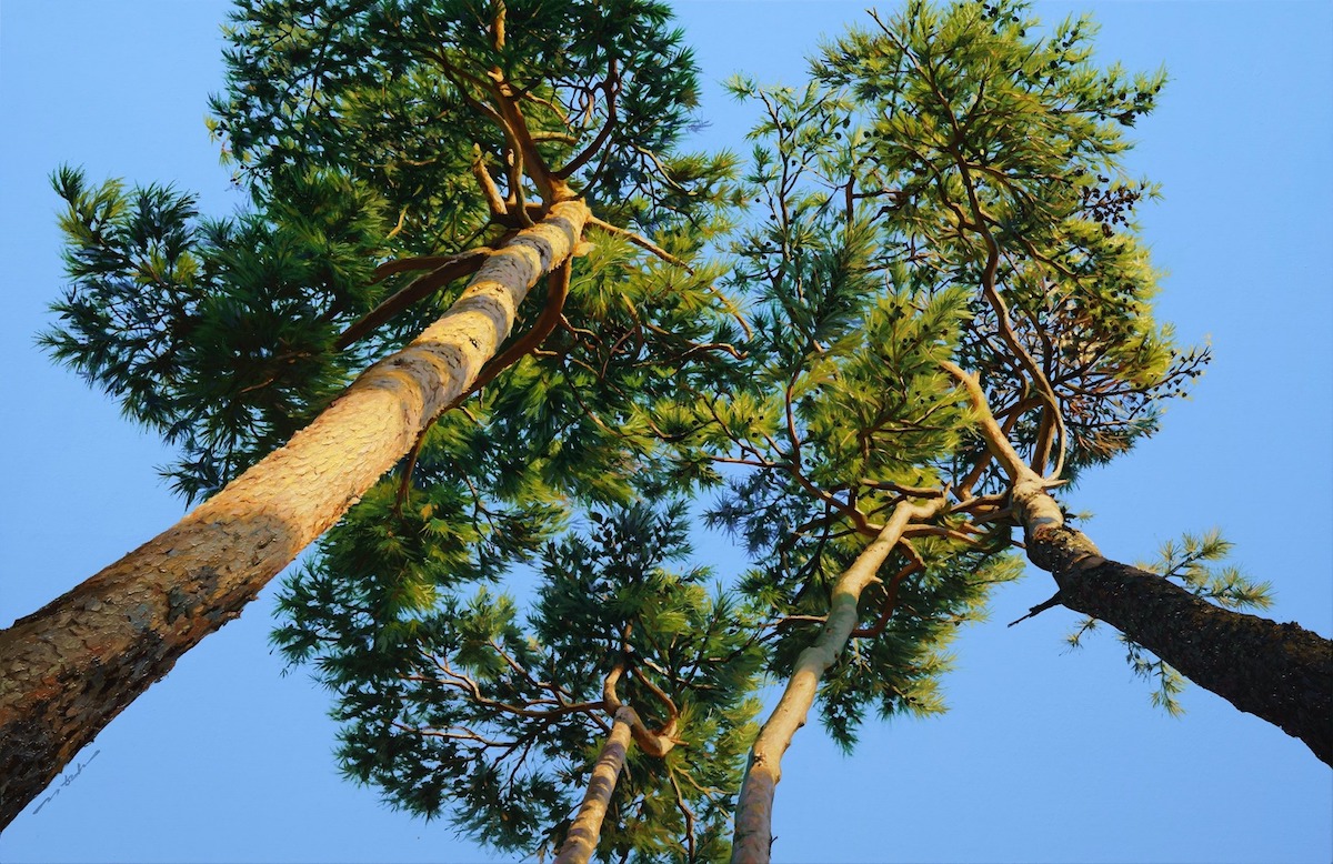 Les-paysages-hyperrealistes-de-An-Jung-hwan-13
