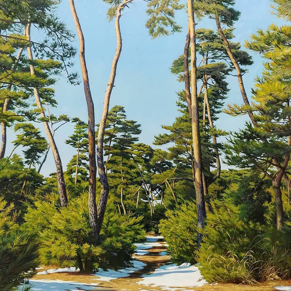 Les-paysages-hyperrealistes-de-An-Jung-hwan-14