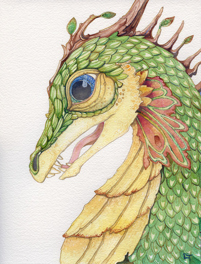 Des-dragons-en-aquarelles-par-CarrieAnn-Reda-16