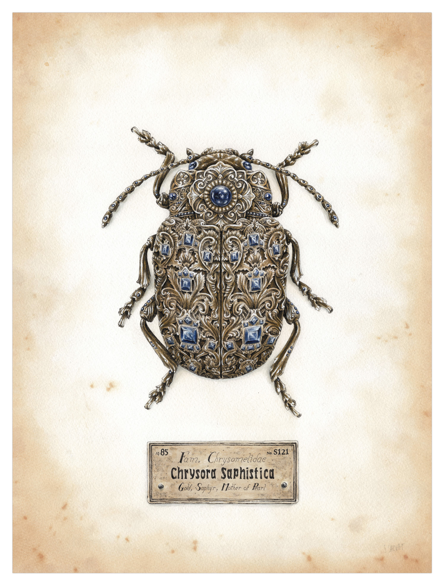 les-insectes-mecaniques-de-Steeven-Salvat-1