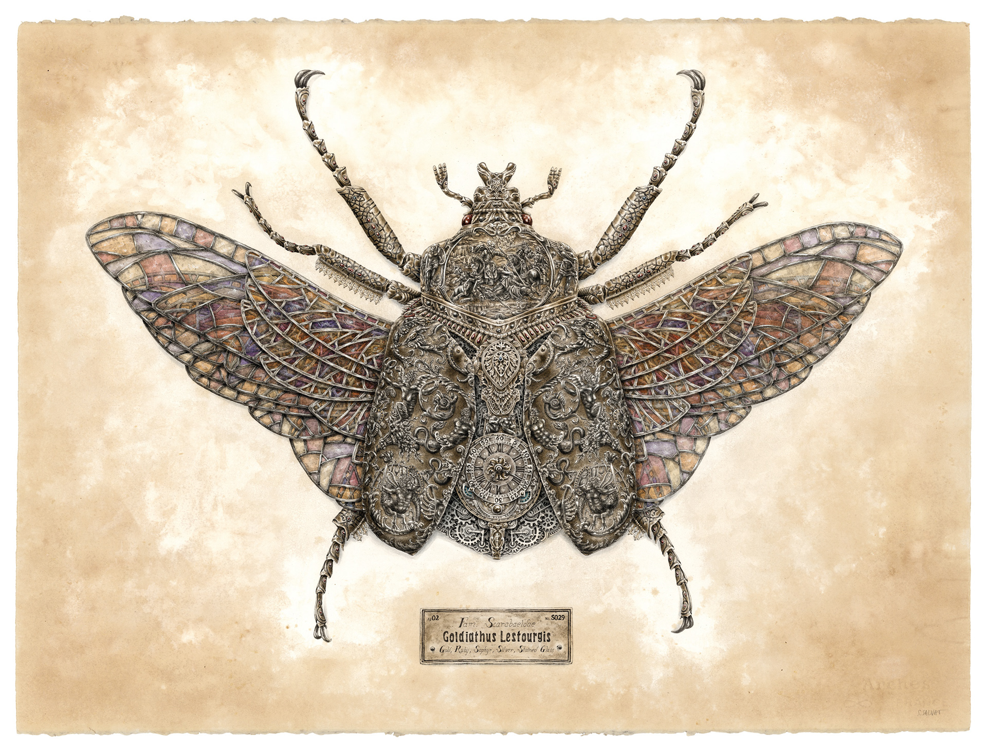les-insectes-mecaniques-de-Steeven-Salvat-2