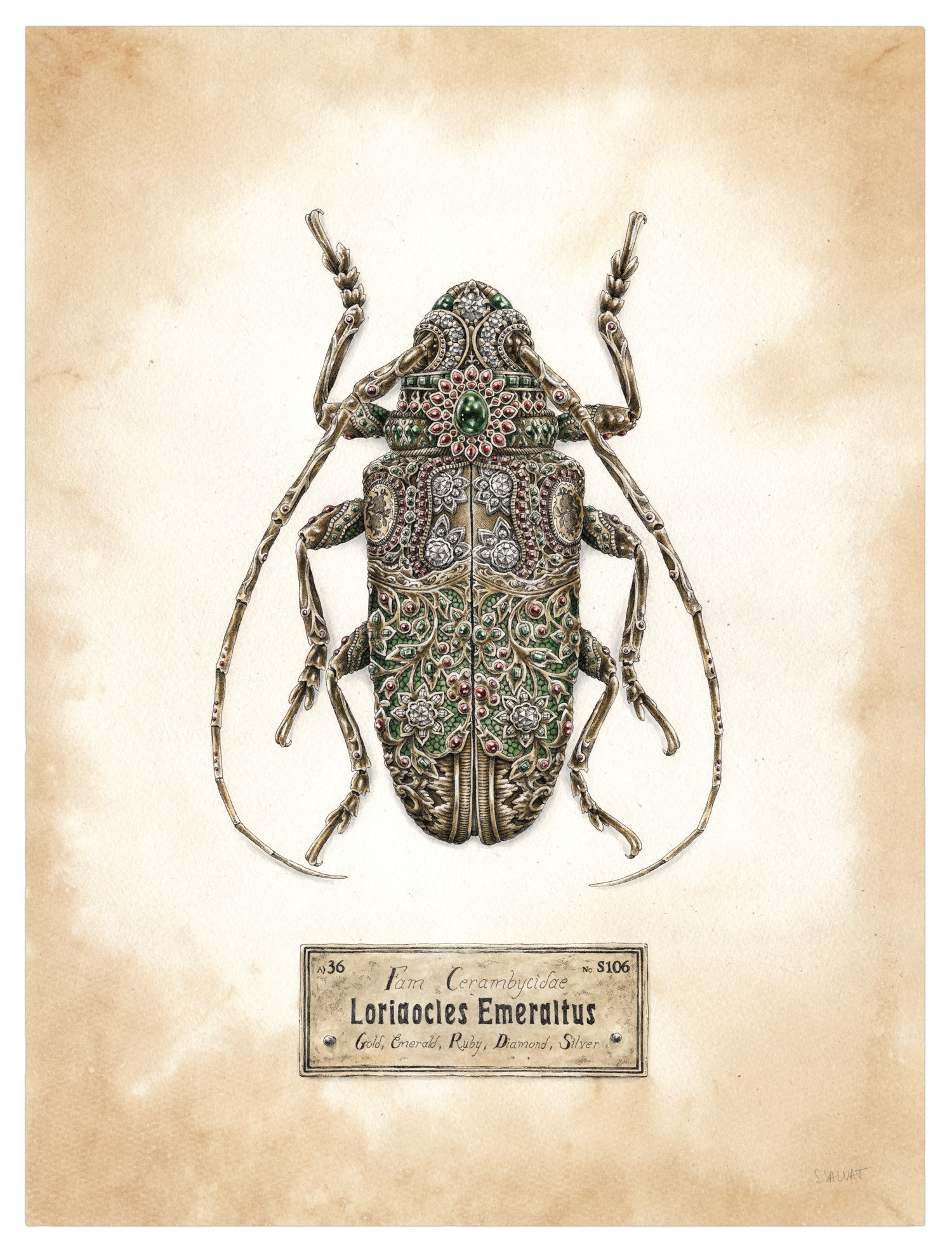 les-insectes-mecaniques-de-Steeven-Salvat-3