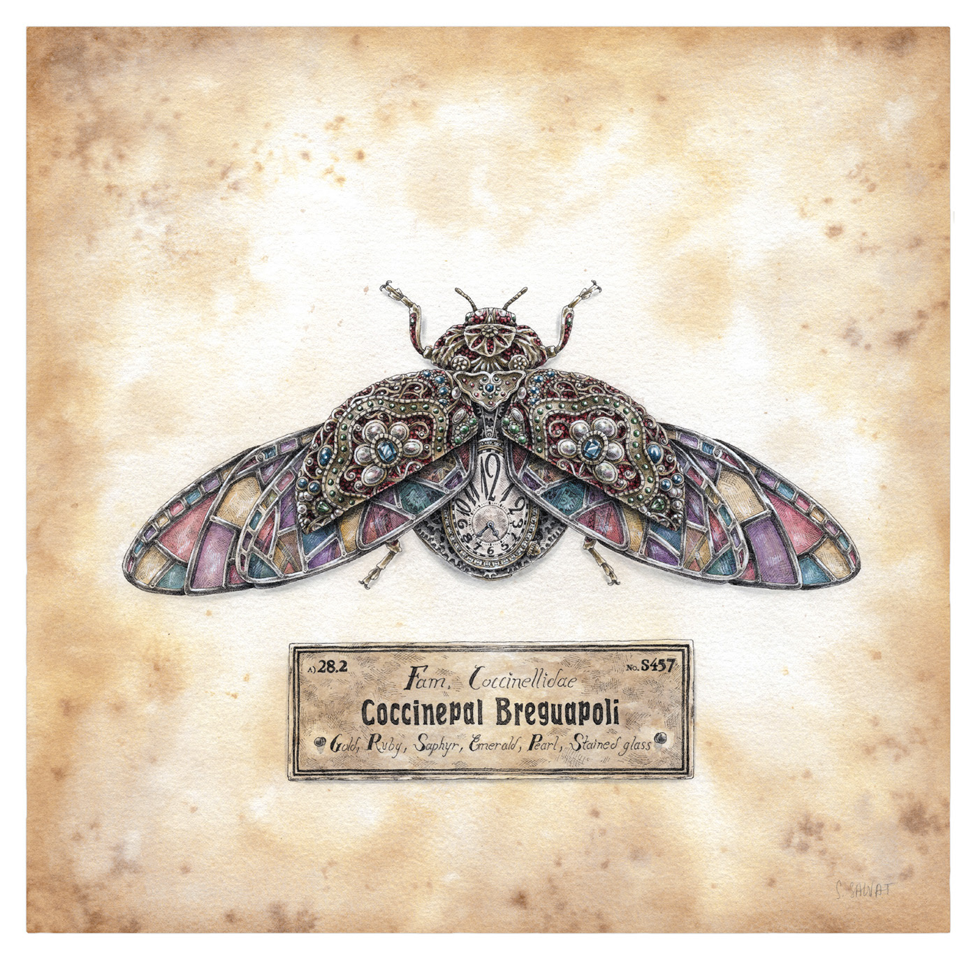 les-insectes-mecaniques-de-Steeven-Salvat-4