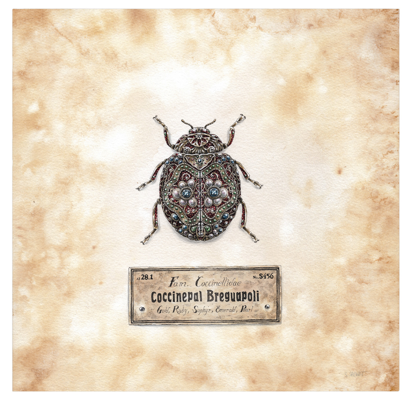 les-insectes-mecaniques-de-Steeven-Salvat-5