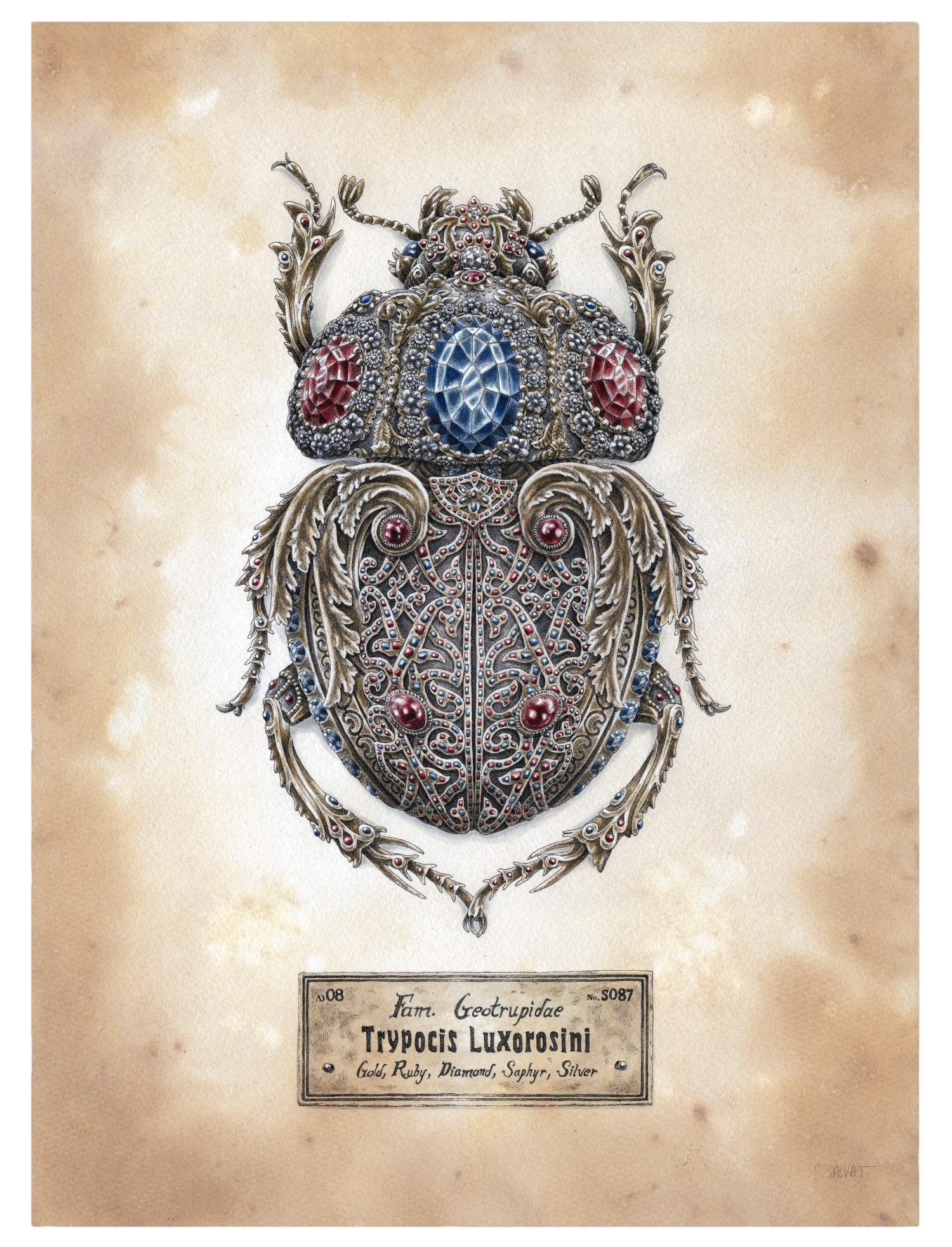 les-insectes-mecaniques-de-Steeven-Salvat-6