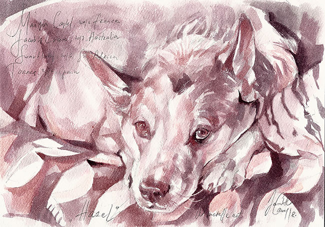 Winerelle-de-nouvelles-aquarelles-au-vin-par-Sanja-Jankovic-12