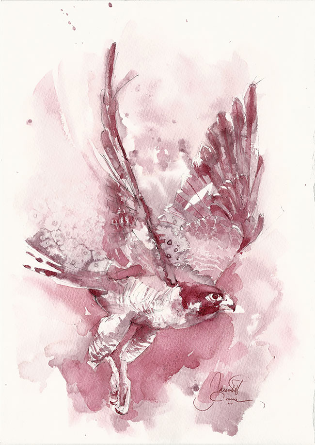 Winerelle-de-nouvelles-aquarelles-au-vin-par-Sanja-Jankovic-8