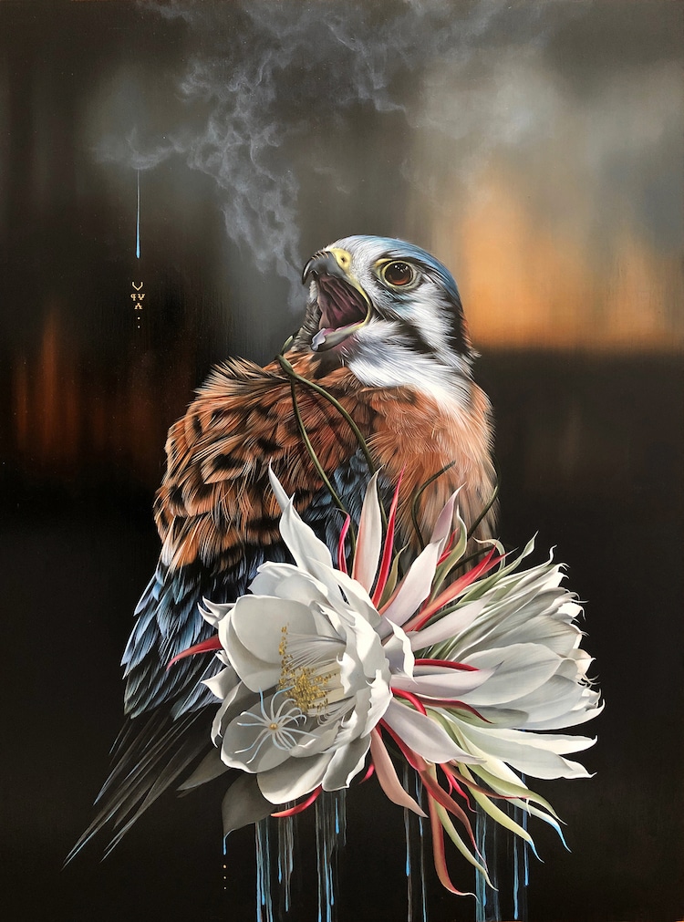 Les-portraits-d-oiseaux-mysterieux-et-inquietants-de-Josie-Morway-10
