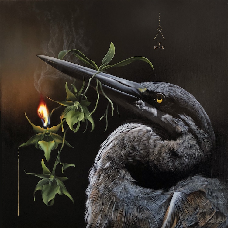 Les-portraits-d-oiseaux-mysterieux-et-inquietants-de-Josie-Morway-11