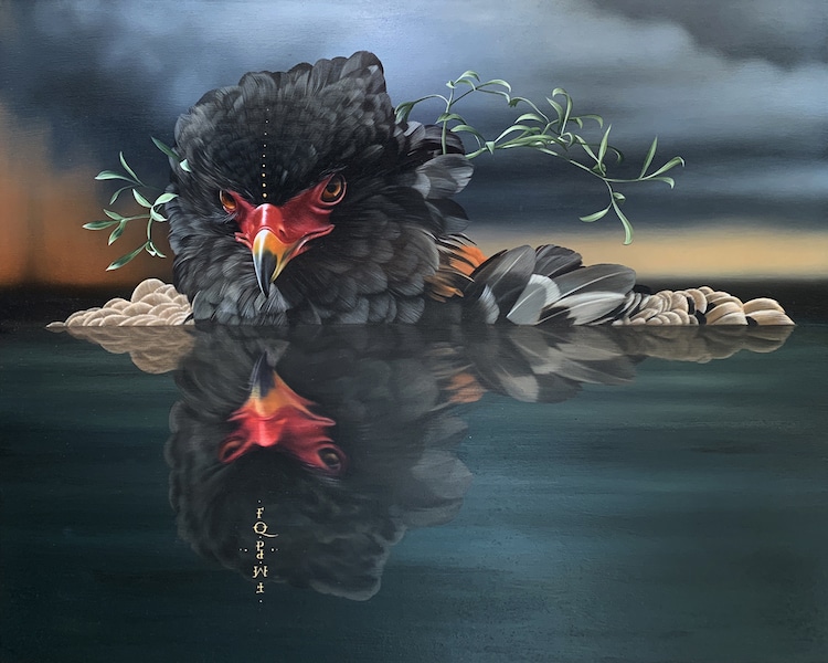 Les-portraits-d-oiseaux-mysterieux-et-inquietants-de-Josie-Morway-13