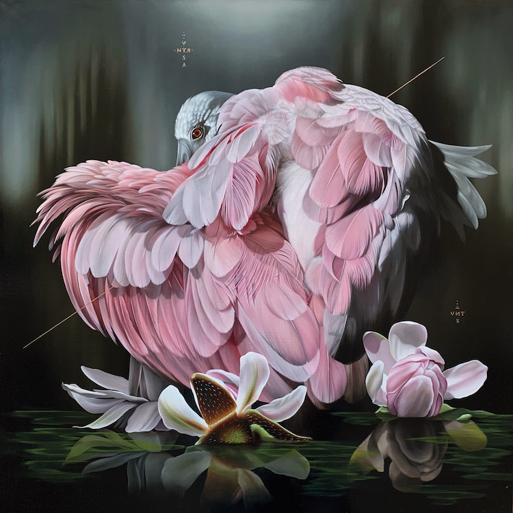 Les-portraits-d-oiseaux-mysterieux-et-inquietants-de-Josie-Morway-15
