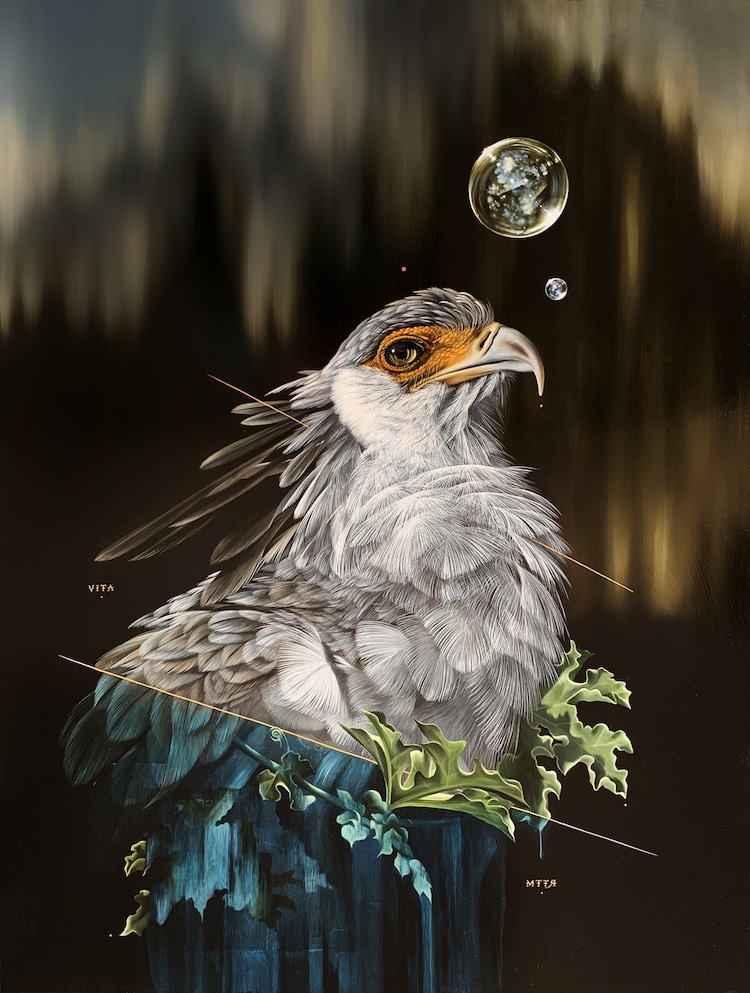 Les-portraits-d-oiseaux-mysterieux-et-inquietants-de-Josie-Morway-16