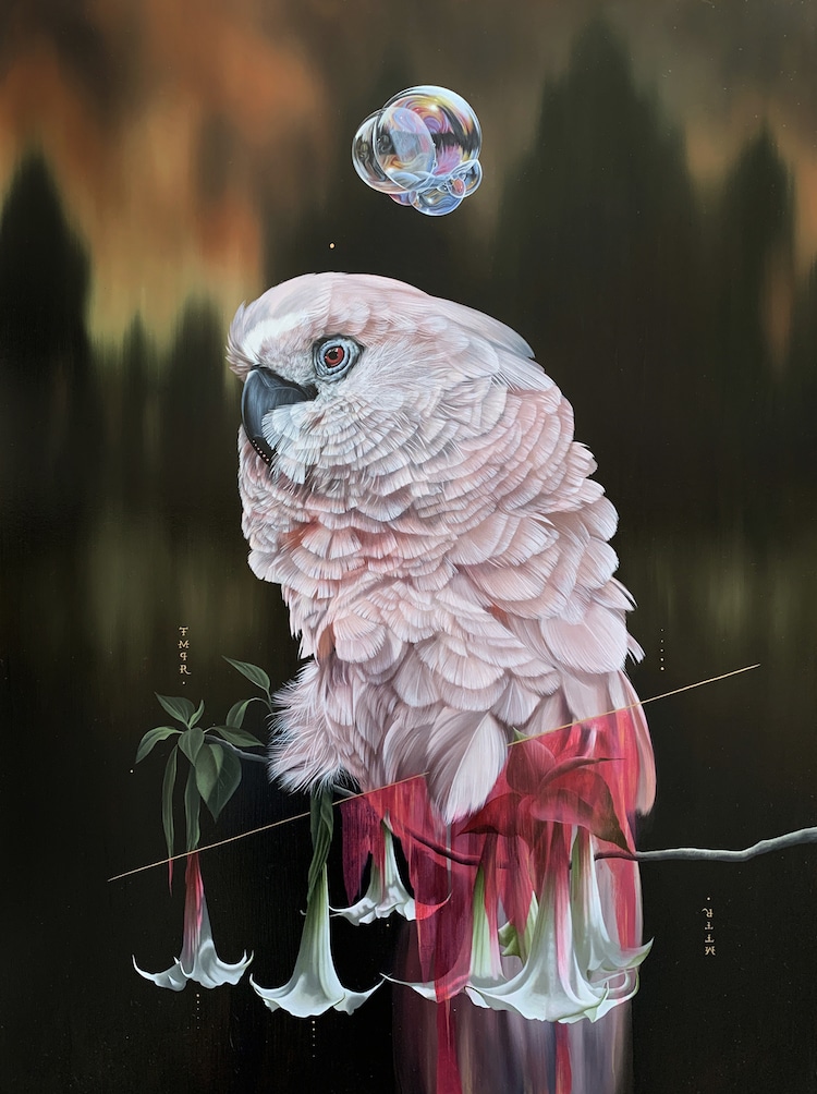 Les-portraits-d-oiseaux-mysterieux-et-inquietants-de-Josie-Morway-17