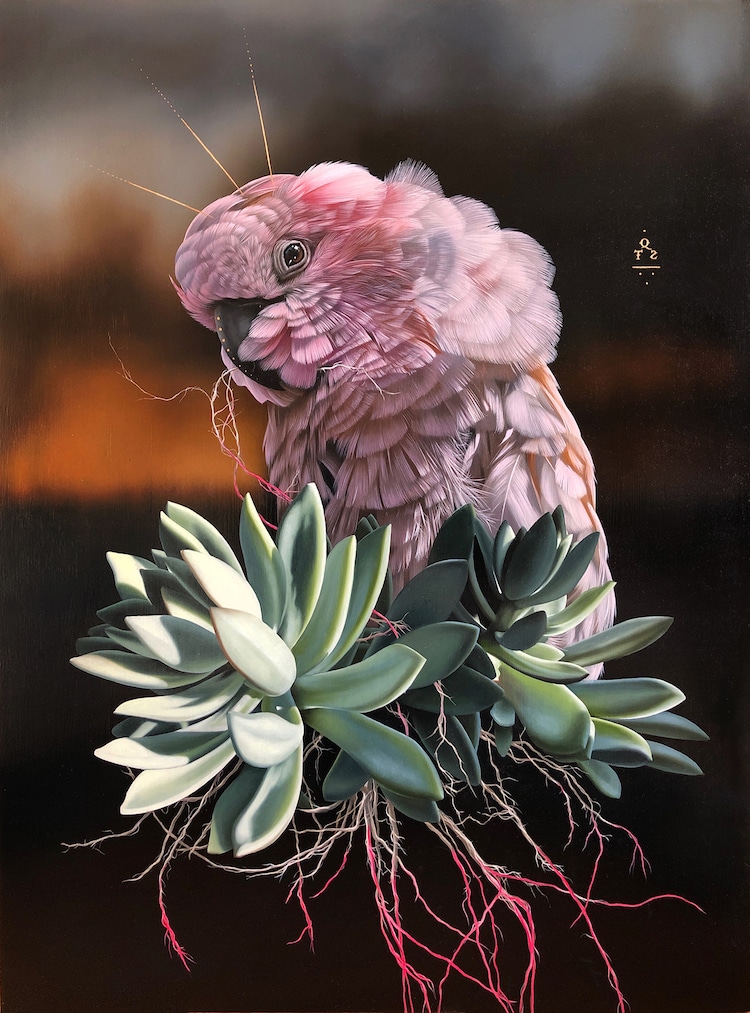 Les-portraits-d-oiseaux-mysterieux-et-inquietants-de-Josie-Morway-19