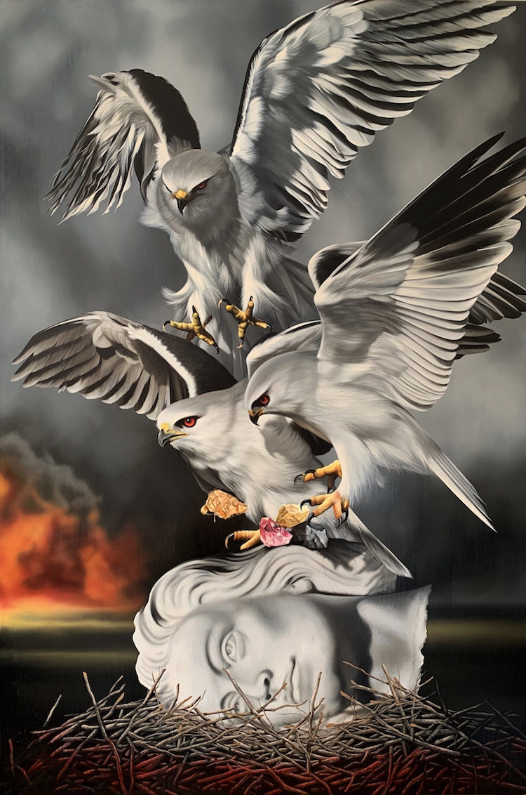Les-portraits-d-oiseaux-mysterieux-et-inquietants-de-Josie-Morway-2