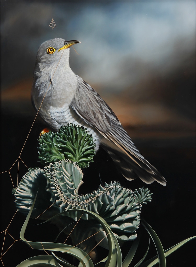 Les-portraits-d-oiseaux-mysterieux-et-inquietants-de-Josie-Morway-20