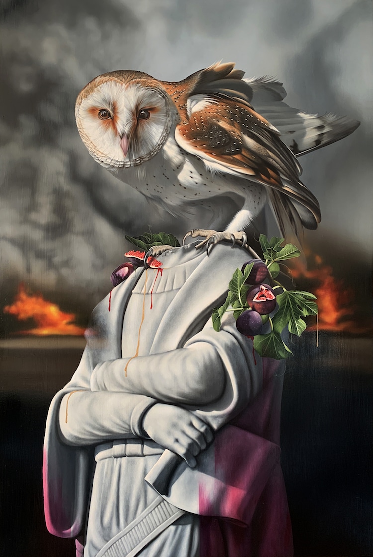 Les-portraits-d-oiseaux-mysterieux-et-inquietants-de-Josie-Morway-3