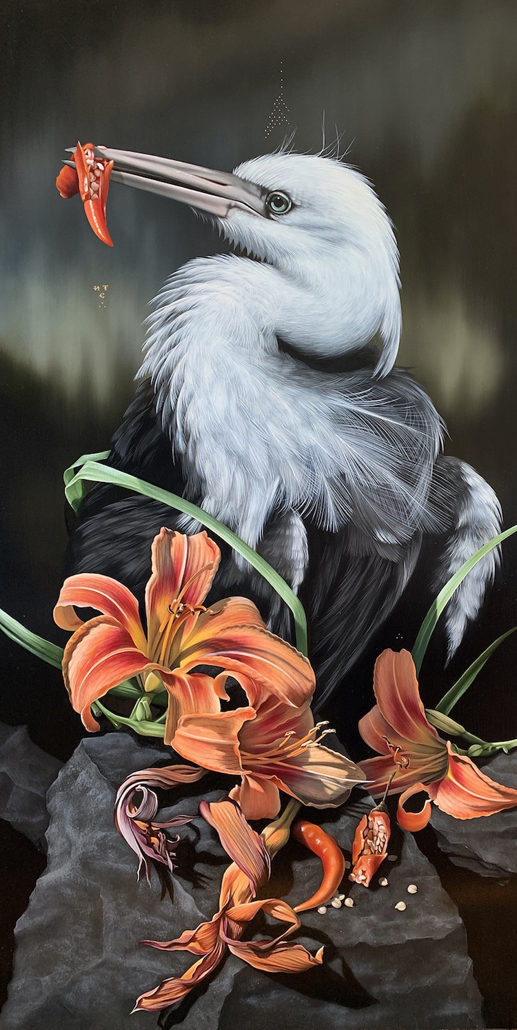 Les-portraits-d-oiseaux-mysterieux-et-inquietants-de-Josie-Morway-4