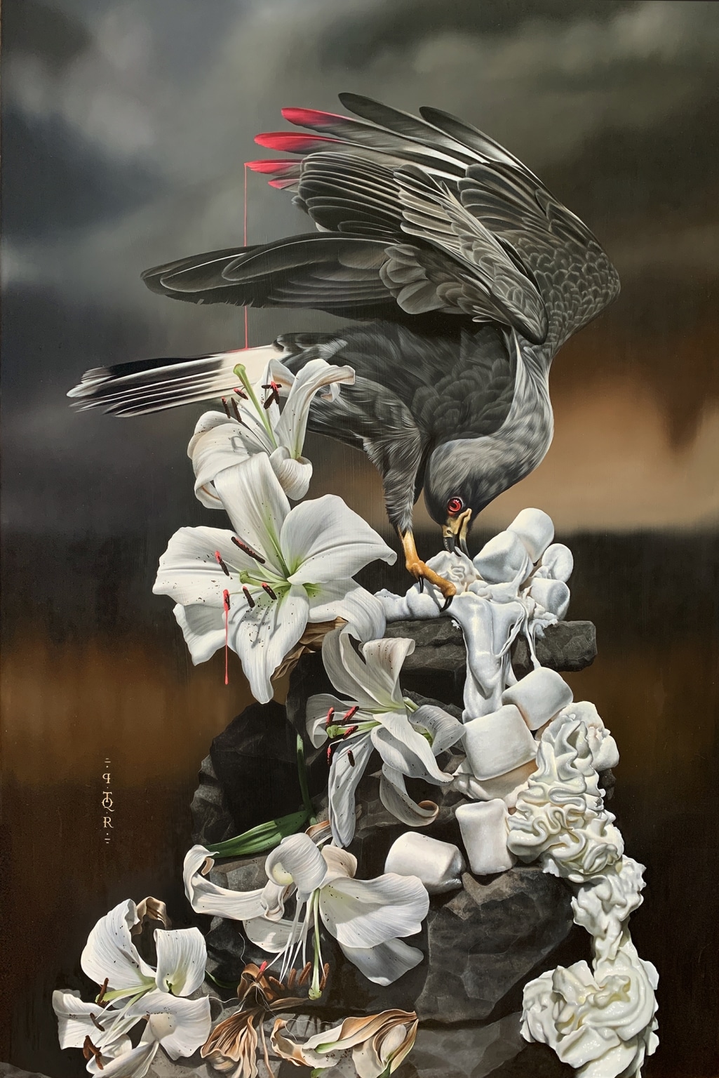 Les-portraits-d-oiseaux-mysterieux-et-inquietants-de-Josie-Morway-5