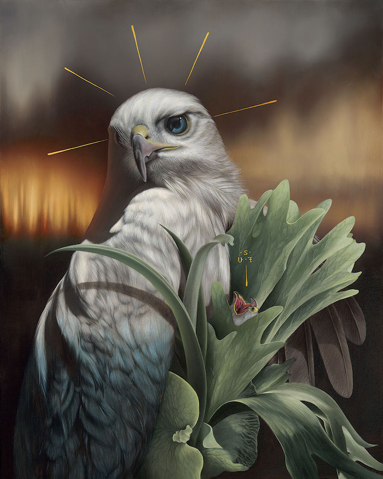 Les-portraits-d-oiseaux-mysterieux-et-inquietants-de-Josie-Morway-8