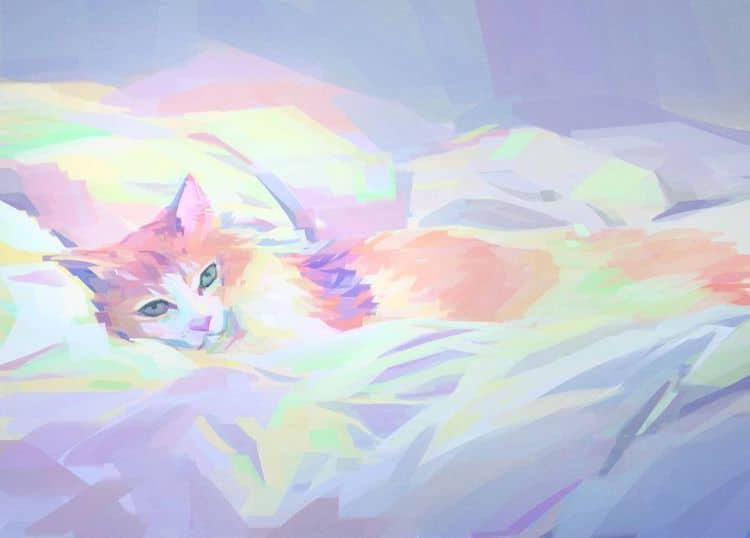 Les-chats-se-font-bronzer-dans-les-images-de-Wayne-Tsay-2