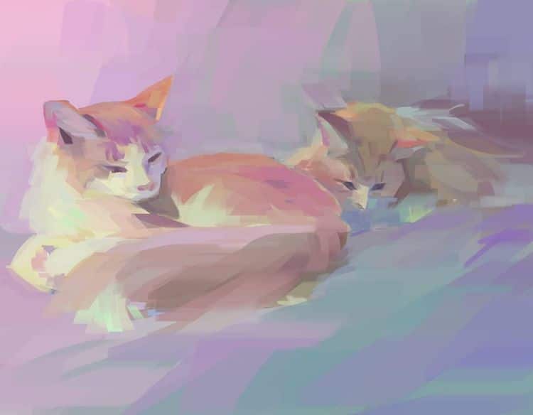 Les-chats-se-font-bronzer-dans-les-images-de-Wayne-Tsay-4