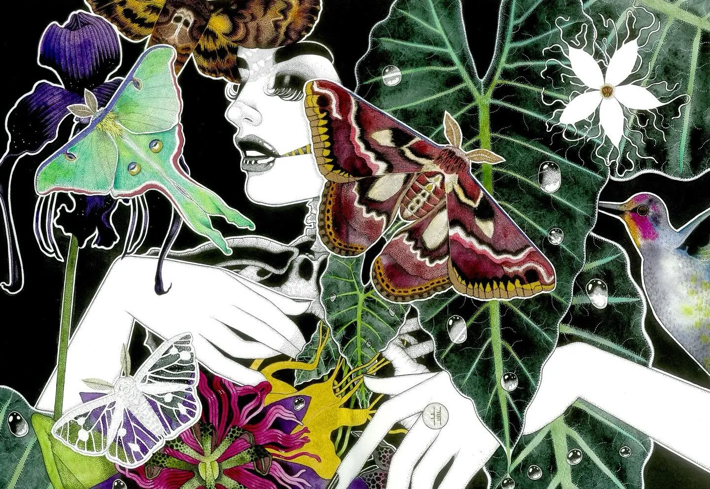 les-dessins-surrealistes-et-envoutants-de-kirsten-schaap-2