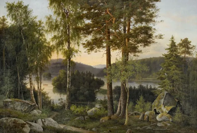 magnus-von-wright-nature-nordique-10