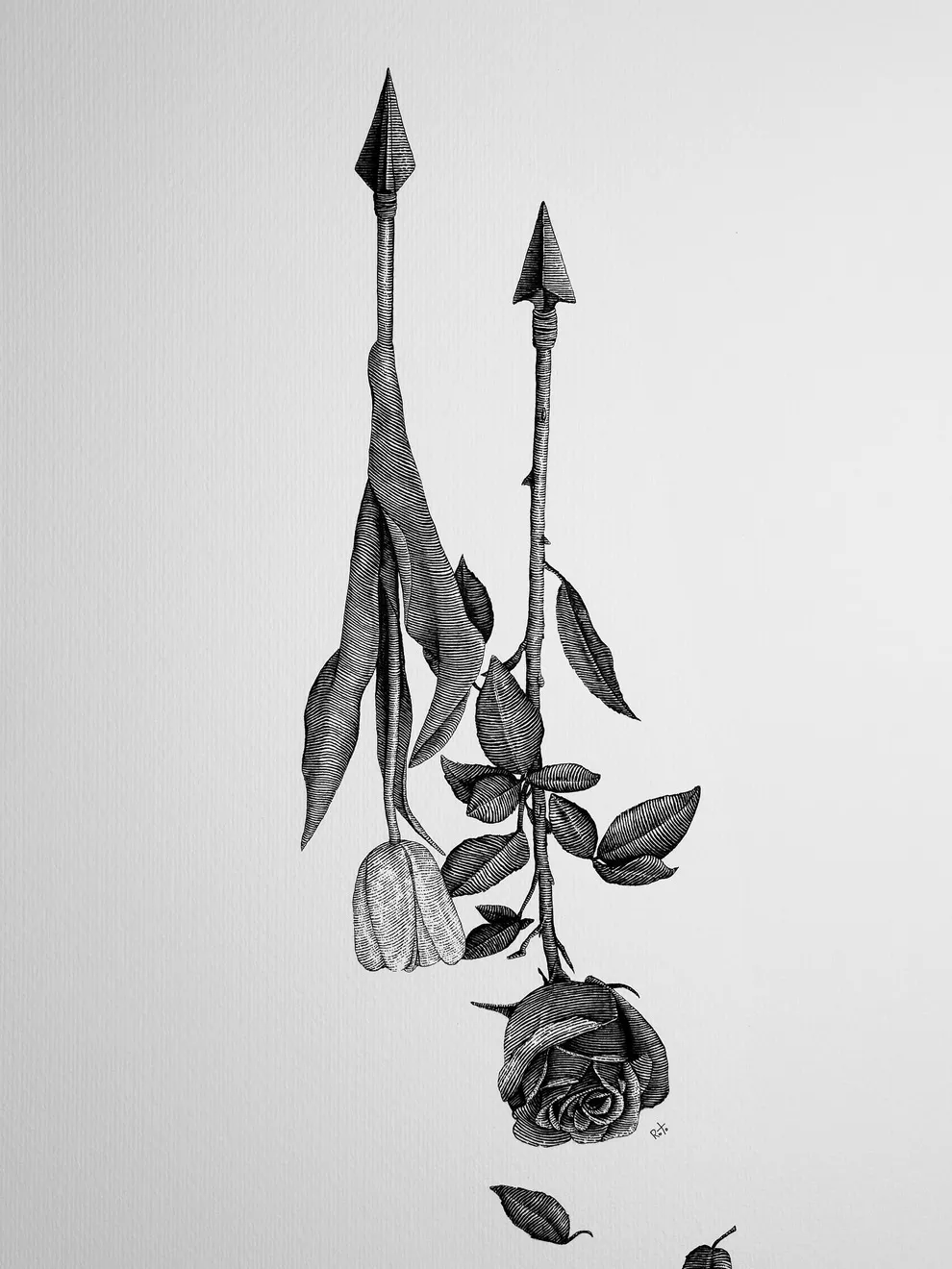 dessin dotwork rostislaw tsarenko encre noire 10