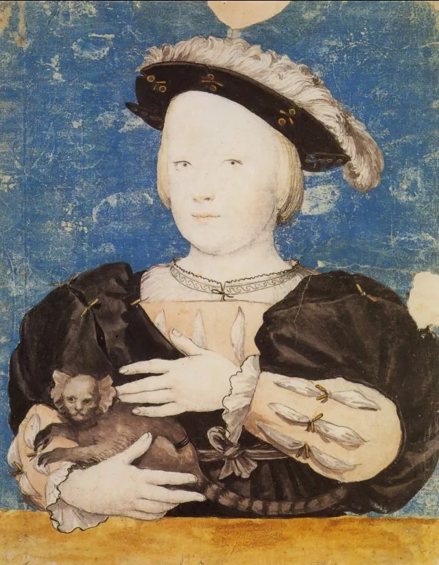 hans holbein le jeune art du portrait garcon