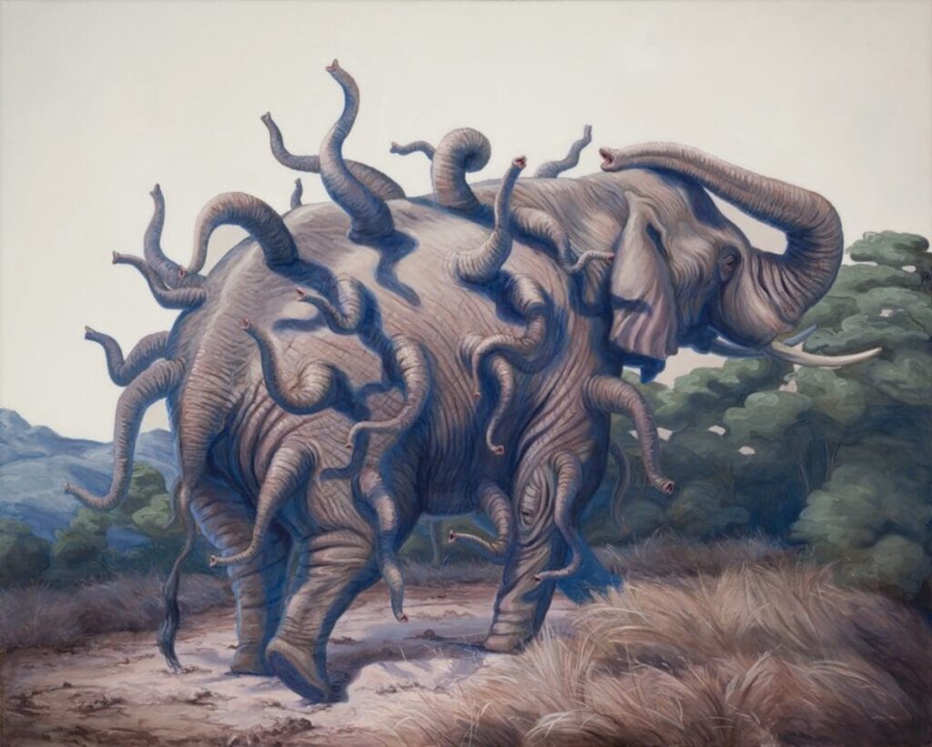 bruno pontiroli les animaux absurdes qui font buguer le reel et votre cerveau - “Il trompe son monde”